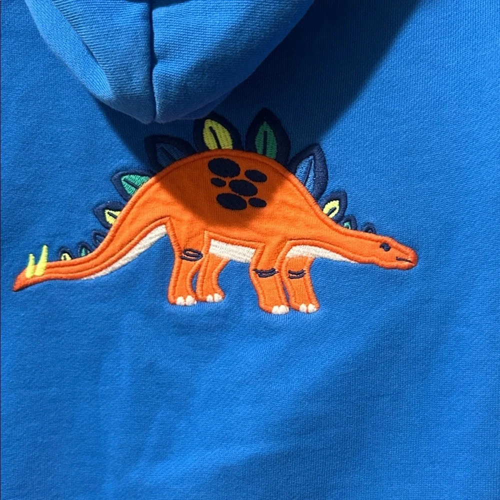 Gymboree colorful hoodie